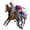 horses-2