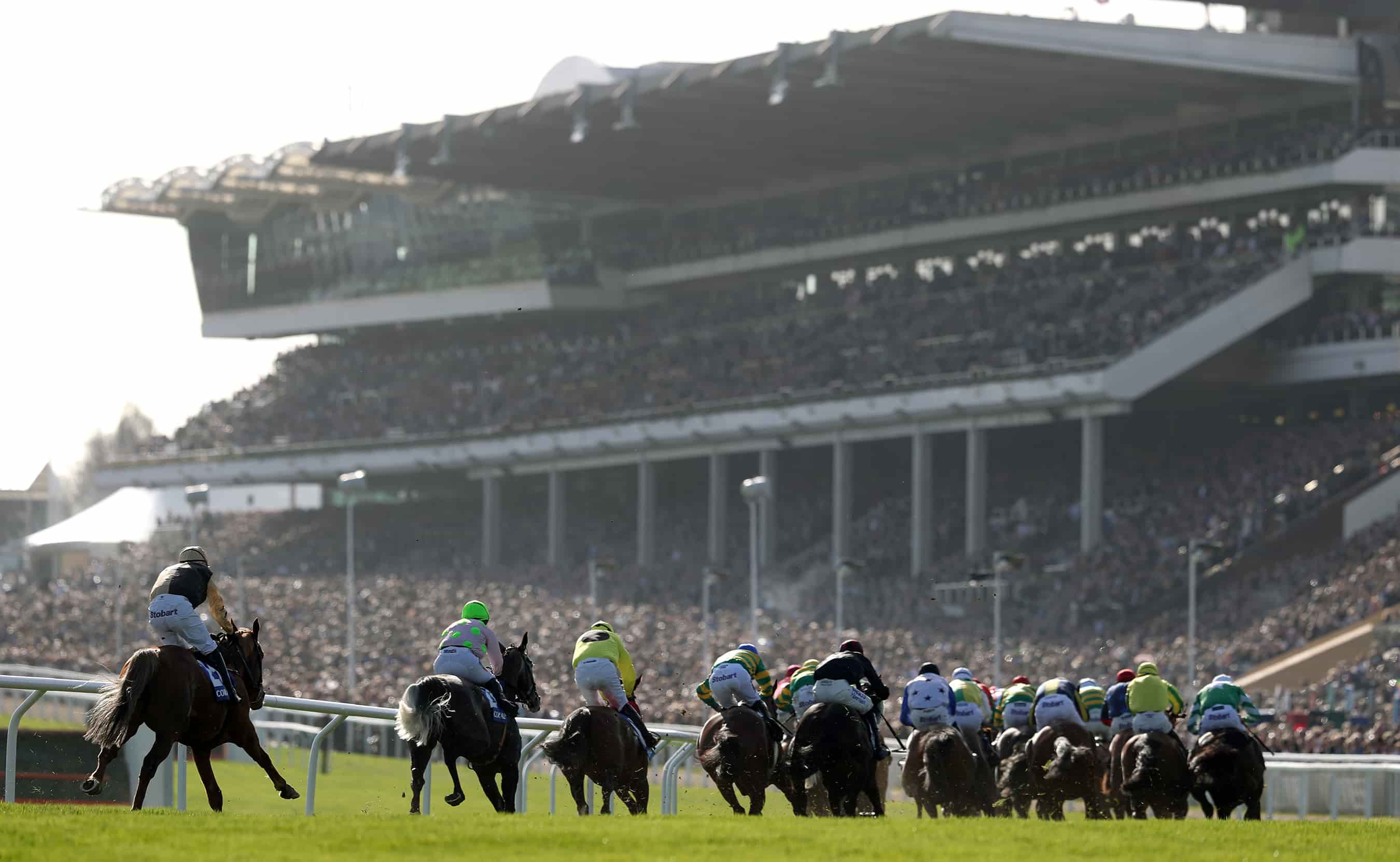 Spreadex sports spread betting Spread Bets of the Day Cheltenham Festival Champion Hurdle 2020 Horse Racing