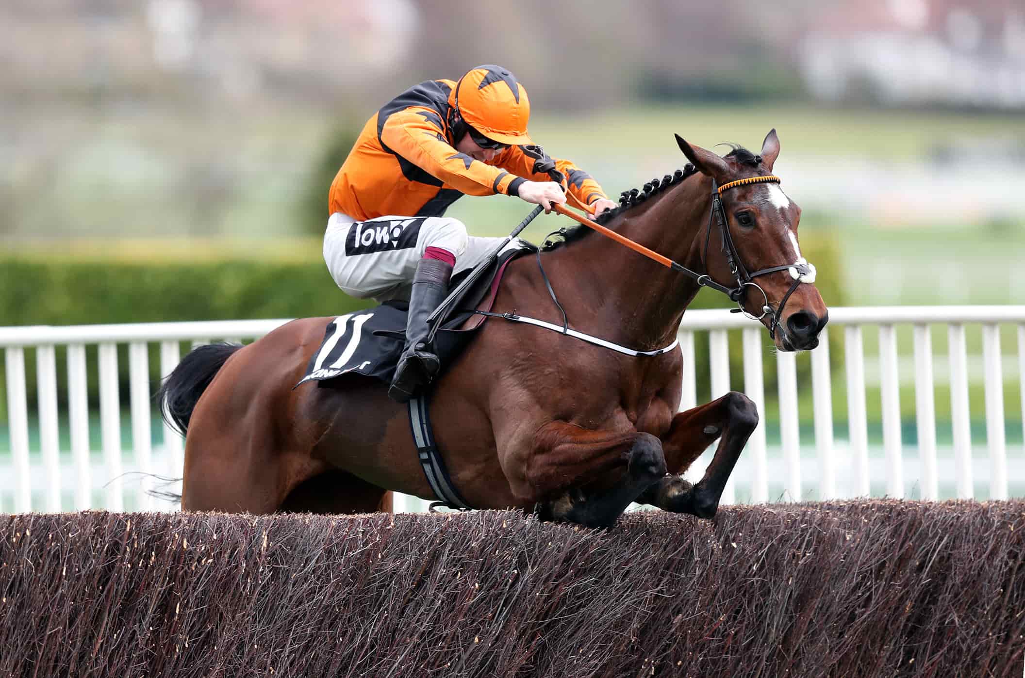 Spreadex sports spread betting Spread Bets of the Day Cheltenham Festival Put The Kettle On Horse Racing
