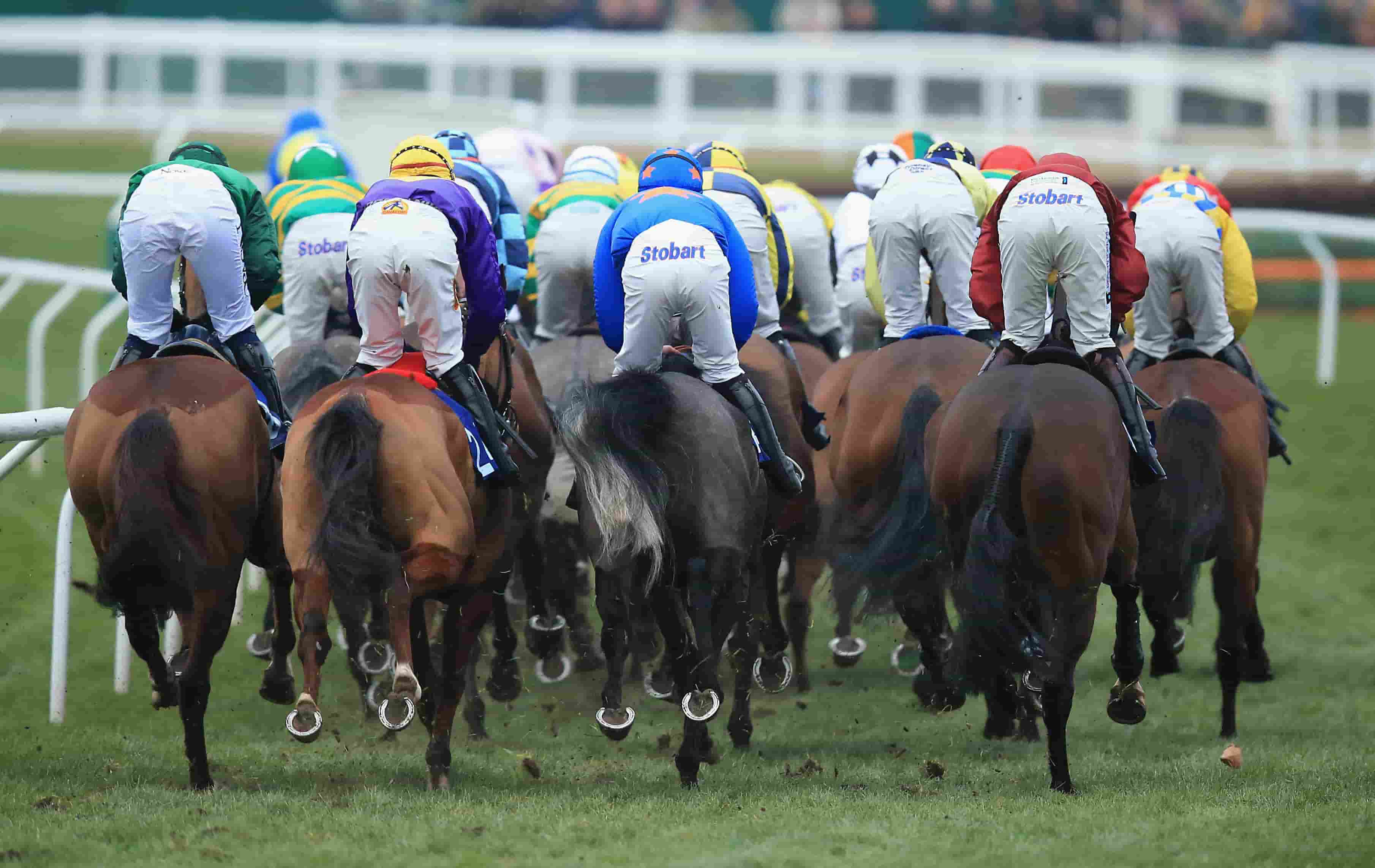 Spreadex sports spread betting Spread Bets of the Day Cheltenham Festival Gold Cup horse racing