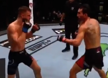 Spreadex Sports Spread Betting Max Holloway Calvin Kattar UFC What Happens Next