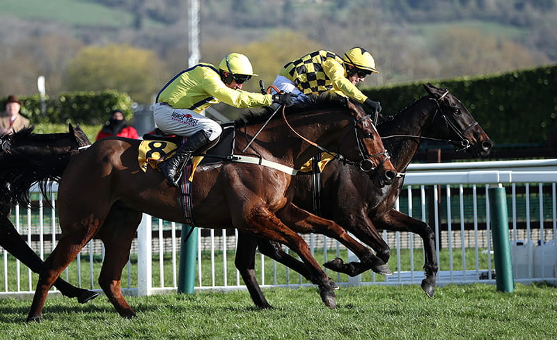 Spreadex Sports Spread Betting Cheltenham Festival 2020 Gold Cup Al Boum Photo Horse Racing