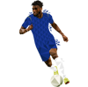 chelse