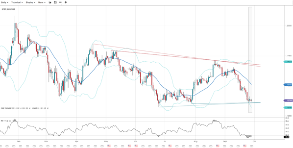 EUR (42)
