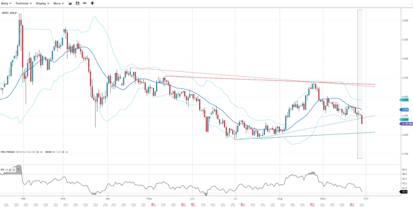 Gold (40)