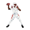 nfl